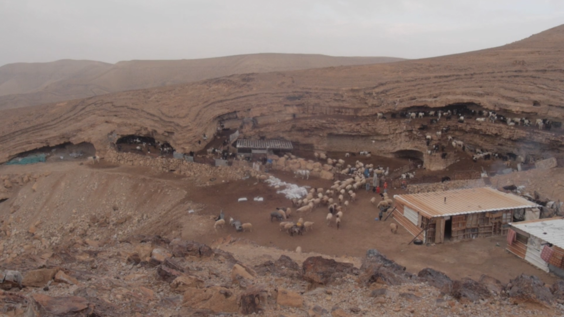 Image tirée du film Les Bédouins d'Al Rachaideh