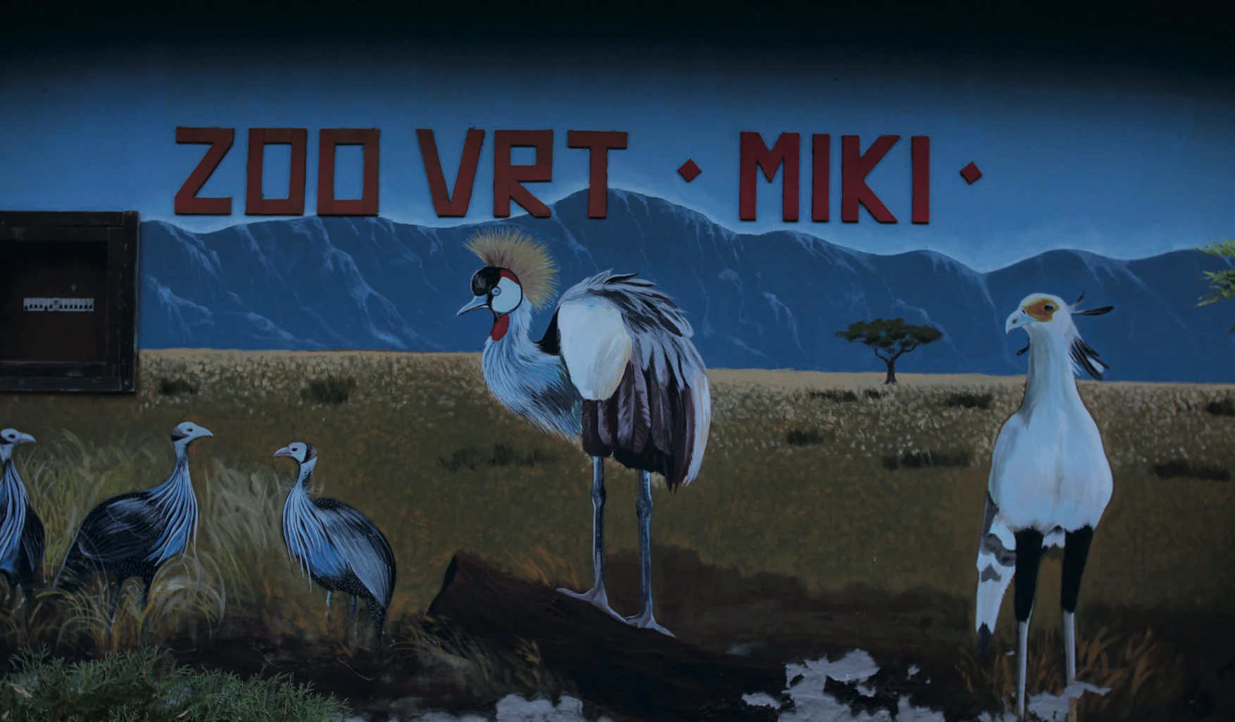 Image tirée du film Miki Zoo