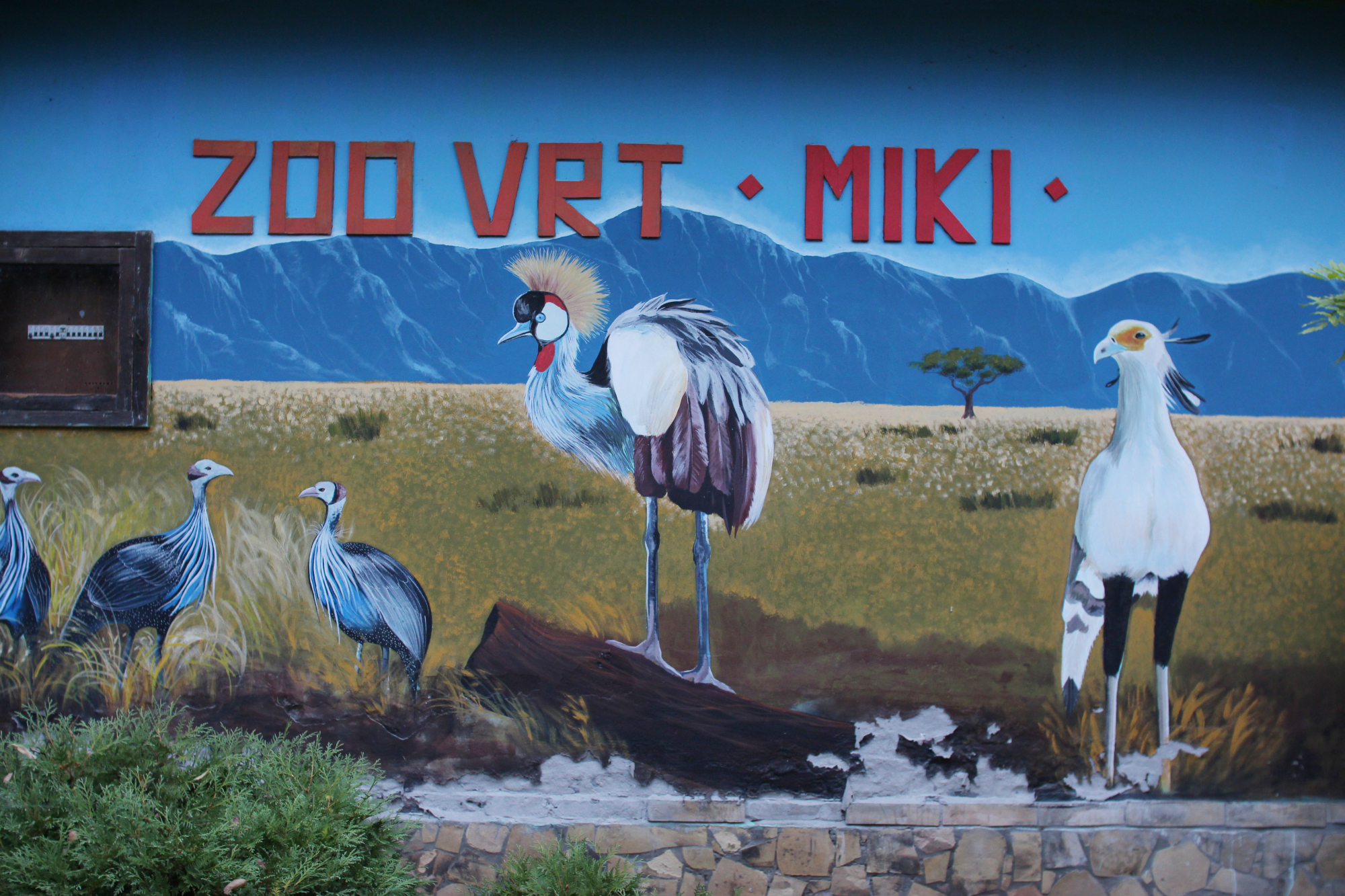 Image tirée du film Miki Zoo